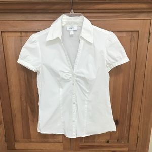 Loft short sleeved button down blouse